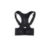 Belts & Orthocare Support